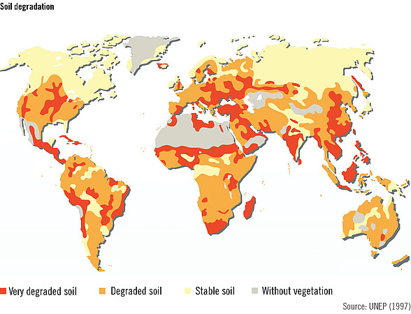 define soil productivity