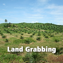 Land Grabbing; Photo: Angela Sevin/flickr.com