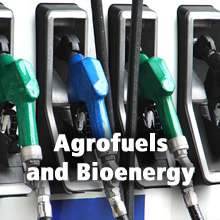 Agrofuels and Bioenergy