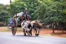 Small farmers in Paraguay are left behind (Photo: CC0)
