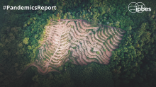 One of the cover photos of the report