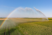 Groundwater is often used for irrigation (Photo: CC0)