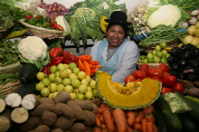 Crop diversity in Peru (Photo: Bioversity International)