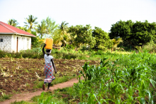 Current food systems are failing young people (Photo: CC0)