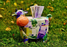 Subsidies for sustainable farming (Photo: CC0)