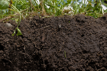 Soil carbon sequestration can help to close the emission gap (Photo: NRCS, bit.ly/NRCS_HS2, bit.ly/4_CC_BY_2-0)