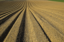 Agriculture has removed 133bn tons of carbon from the top 2 meters of soil (Photo: CC0)