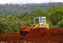 Habitat conversion is a threat to species (Photo: CC0)