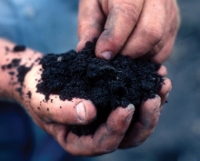 Soils are key to food security (Photo: NRCS Soil Health/flickr)