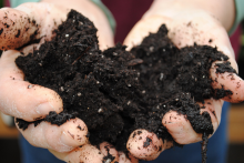 A handful of fertile soil (Photo: Pat Dumas/flickr.com)