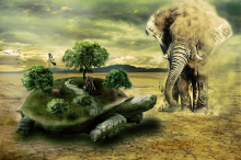 Wildlife is in steep decline (Photo: CC0)