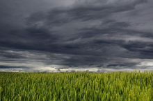We need to avoid the next ‘perfect storm’ (Photo: CC0)