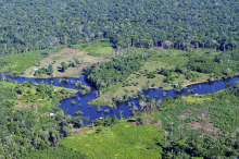 Deforestation threatens the Amazon (Photo: Neil Palmer/ CIAT, flickr.com)