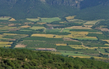 Small fields and diverse crops (Photo: Jordi Recasens)