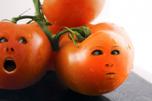 No patents on life: Opposition to Syngenta's tomato patent (Photo: Randi Boice/Flickr.com)