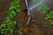 Agricultural water management plays a key role (Photo: CC0)