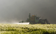 Pesticides will be banned in the EU at least on ecological focus areas (Photo: CC0)