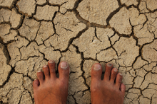 We depend on soil (Photo: Alosh Bennett/Flickr.com)