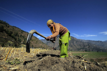 Farmer in India (Photo: Neil Palmer/CIAT)