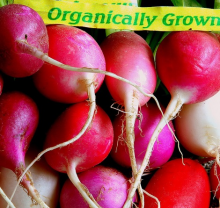 Organically grown (Photo: Bruce Fingerhood/Flickr.com)