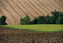 Soil fertility is decreasing (Photo: Eric Huybrechts/flickr)