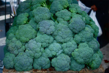 No patents on broccoli! (Photo: h-bomb/flickr)