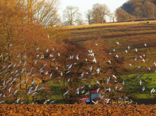 European soils are at risk (Photo: John Bennett/flickr.com)