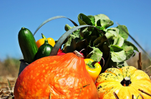 A global shift towards healthy and more plant-based diets is needed (Photo: CC0)