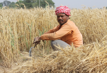 Farmer in India (Photo: CC0)