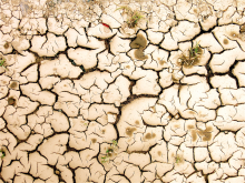 Droughts will become more frequent (Photo: Harald Grunsky_pixelio.de)