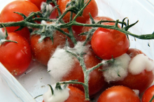 Fruits and vegetables are the foods wasted most in the US (Photo: CC0)