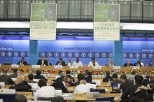 Round Table on Biofuels and Food Security (Photo: FAO/Giuseppe Carotenuto)