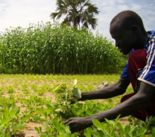 Farmer in South Sudan (Photo: Abdullah Ampilan/Oxfam)
