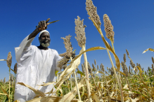 Investment in Agriculture must be better assessed (Photo: Africa Renewal/flickr)