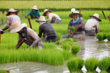 Most of the world’s hungry live in Asia (Photo: ILO/Joaquin Bobot Go)