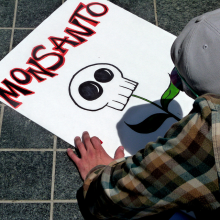 Monsanto banner (Photo: Donna Cleveland/Flickr)