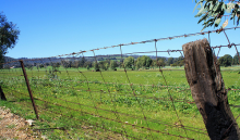 Land grabs destroy local livelihoods (Photo: taylr./flickr)