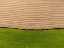Who owns the land? (Foto: CC0)