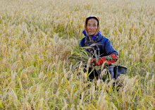 Apatani woman (Photo: Global Landscapes Forum, bit.ly/Apatani, bit.ly/ccby_20)