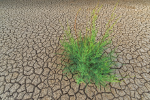 Droughts will become more frequent (Photo: CC0)