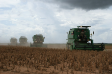 Soybean production is eating up land abroad (Photo: CC0)