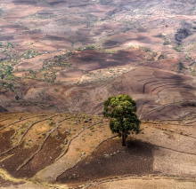 Farmland in Ethiopia (Photo: Mariusz Kluzniak/Flickr.com)