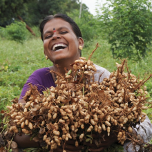 Social protection can help farmers to escape poverty (Photo: ICRISAT/Flickr.com)