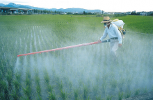 Civil society calls for a trans- formation of the agricultural system (Photo: GWP/flickr)