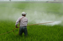 Pesticides are a threat to the environment (Photo: CC0)