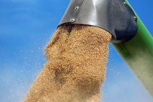 Agriculture in 2030 - the outlook (Photo: CC0)