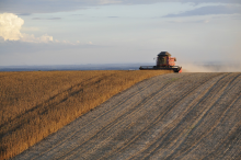 US farmers are not feeding the hungry (Photo: CC0)
