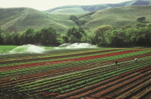 Groundwater is often used for irrigation (Photo: CC0)