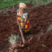 Digging terraces to stop erosion (Photo: Georgina Smith/CIAT)