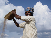 India's farmers: more important than trade (Photo: Bioversity International/Padulosi)